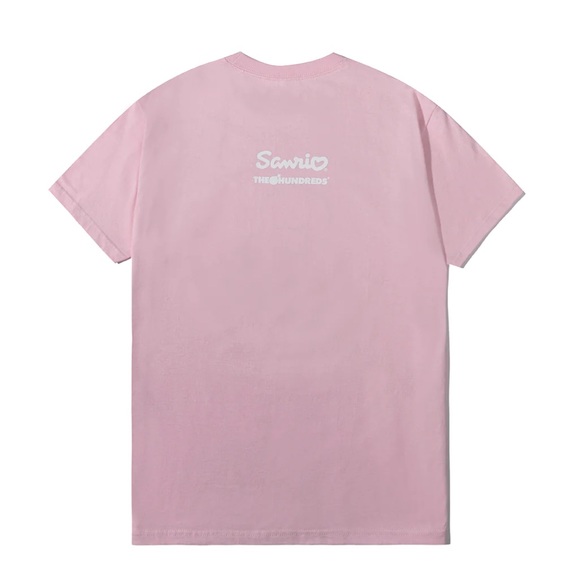 Sanrio x the hundreds collab PEKKLE T-SHIRT sz medium
Brand new - Picture 3 of 4